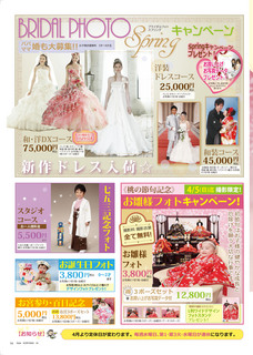 ポラリス201503左P.jpg